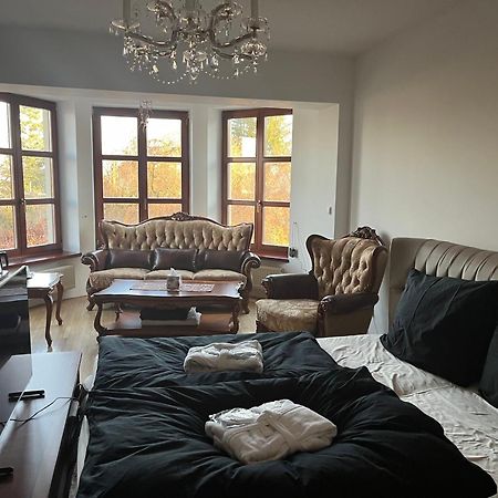 Dogs Resort And Spa Horni Bezdekov Kültér fotó