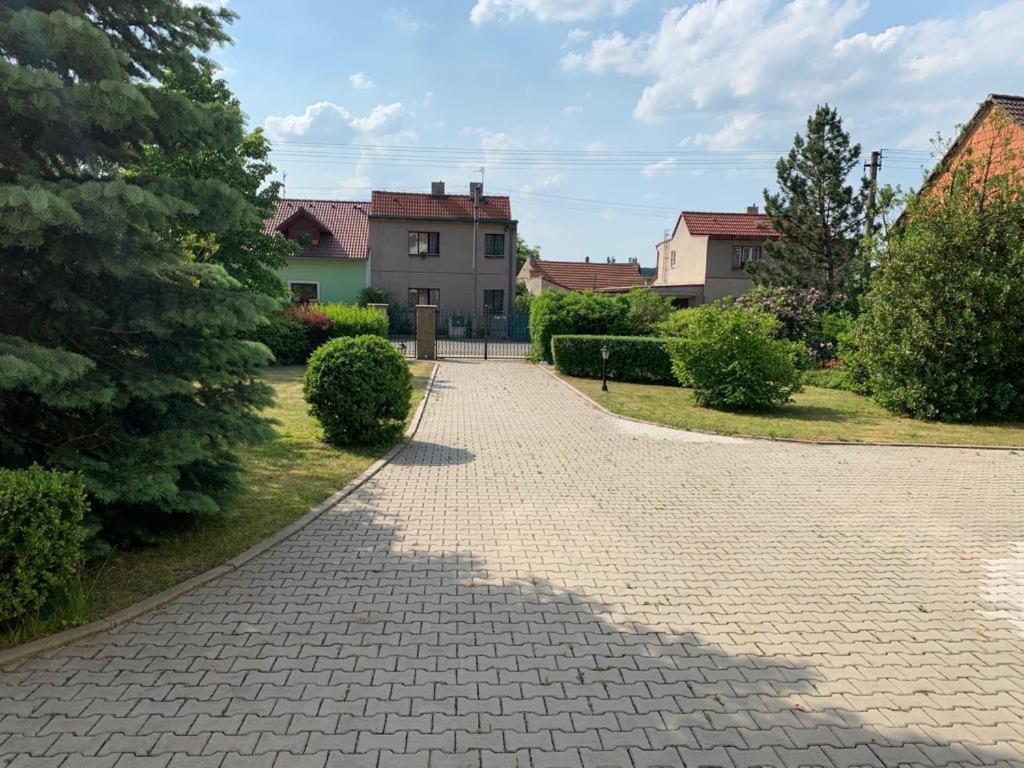 Dogs Resort And Spa Horni Bezdekov Kültér fotó