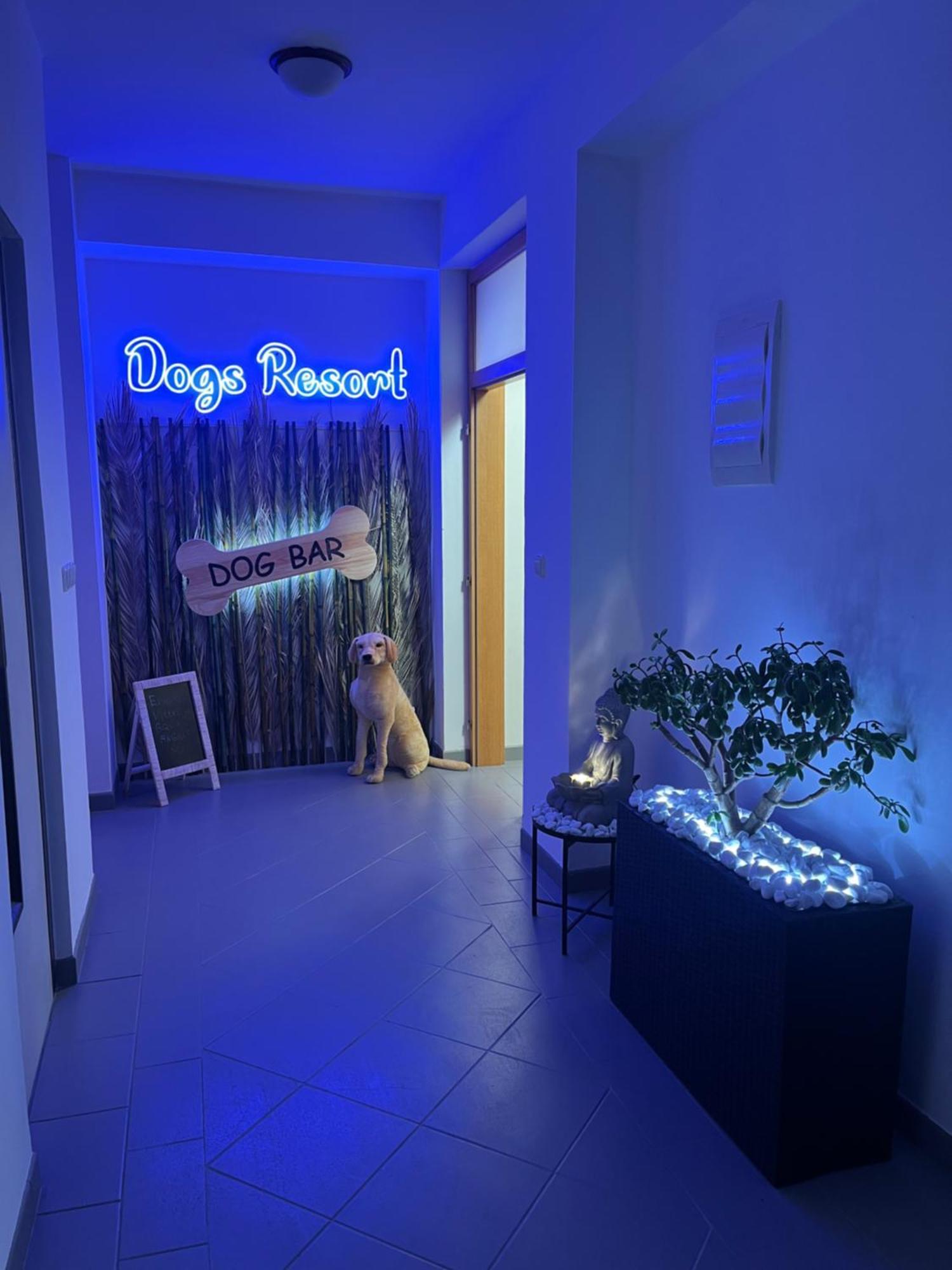 Dogs Resort And Spa Horni Bezdekov Kültér fotó